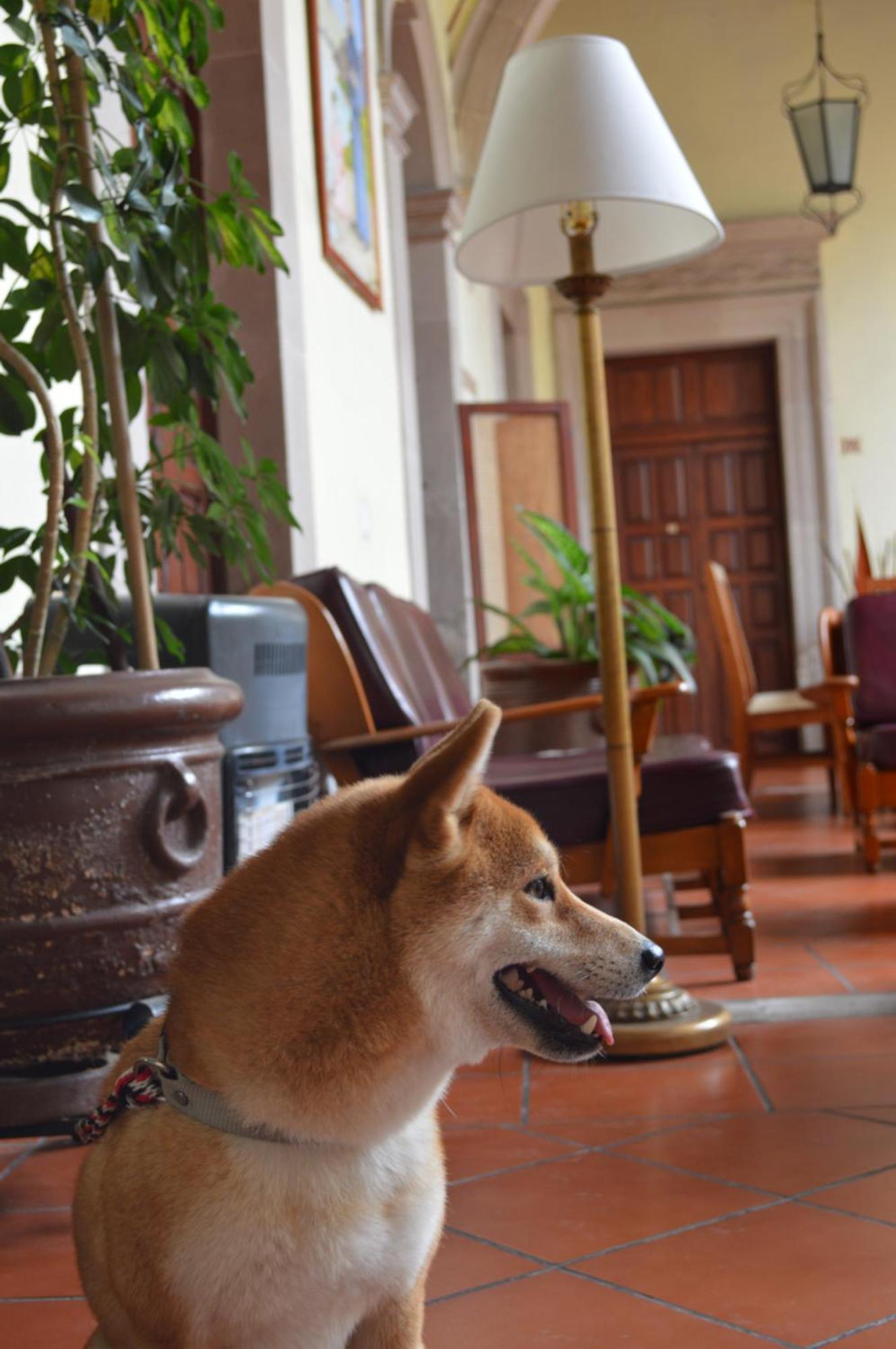 Hotel Posada San Agustin Durango Dış mekan fotoğraf